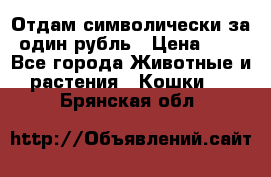 Отдам символически за один рубль › Цена ­ 1 - Все города Животные и растения » Кошки   . Брянская обл.